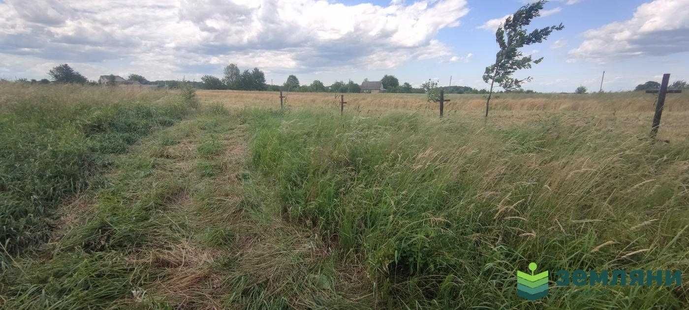 Продається будинок 47 м2 із ділянкою 43 сот у с. Липівка