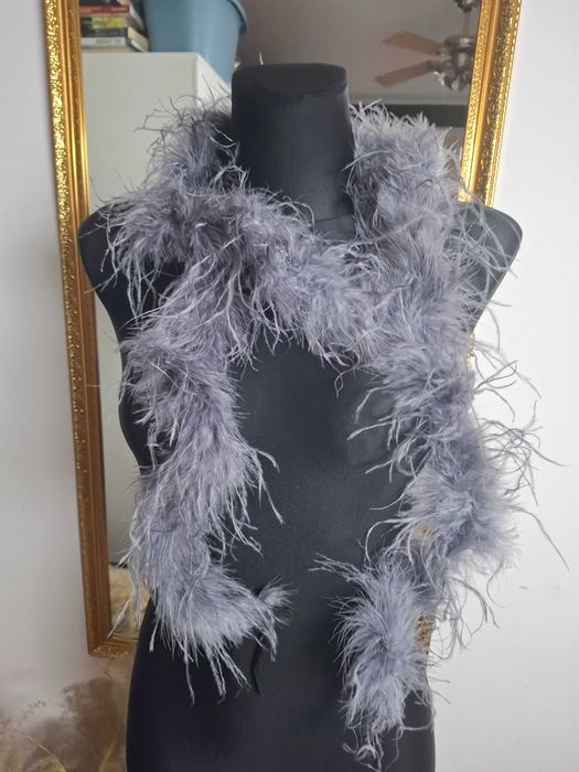 Szare boa piórkowe (536)