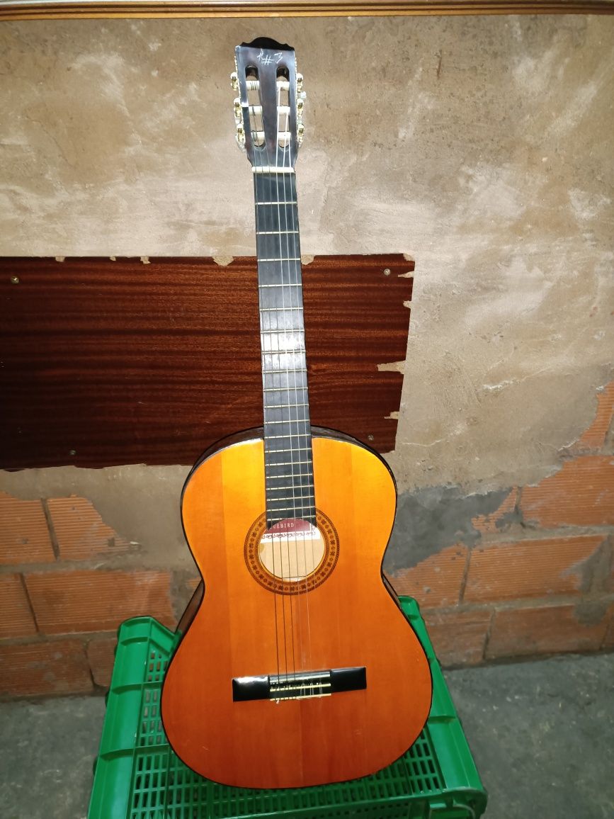Viola de música usada
