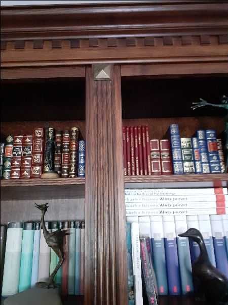 Biblioteka na książki