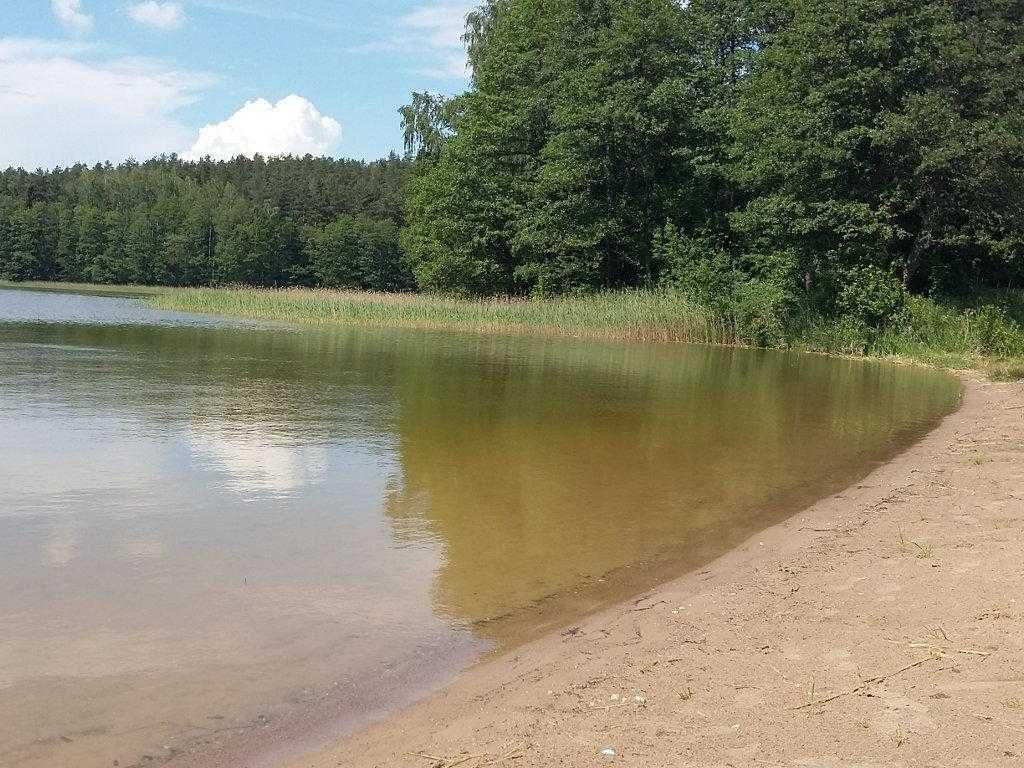 domek letniskowy nad jeziorem Wilkasy Zalesie koło Giżycko