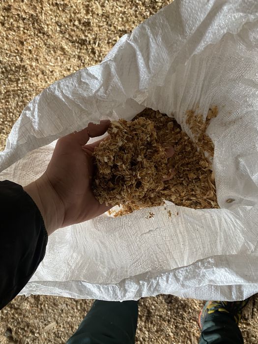 Опилки щепа кора разные породы