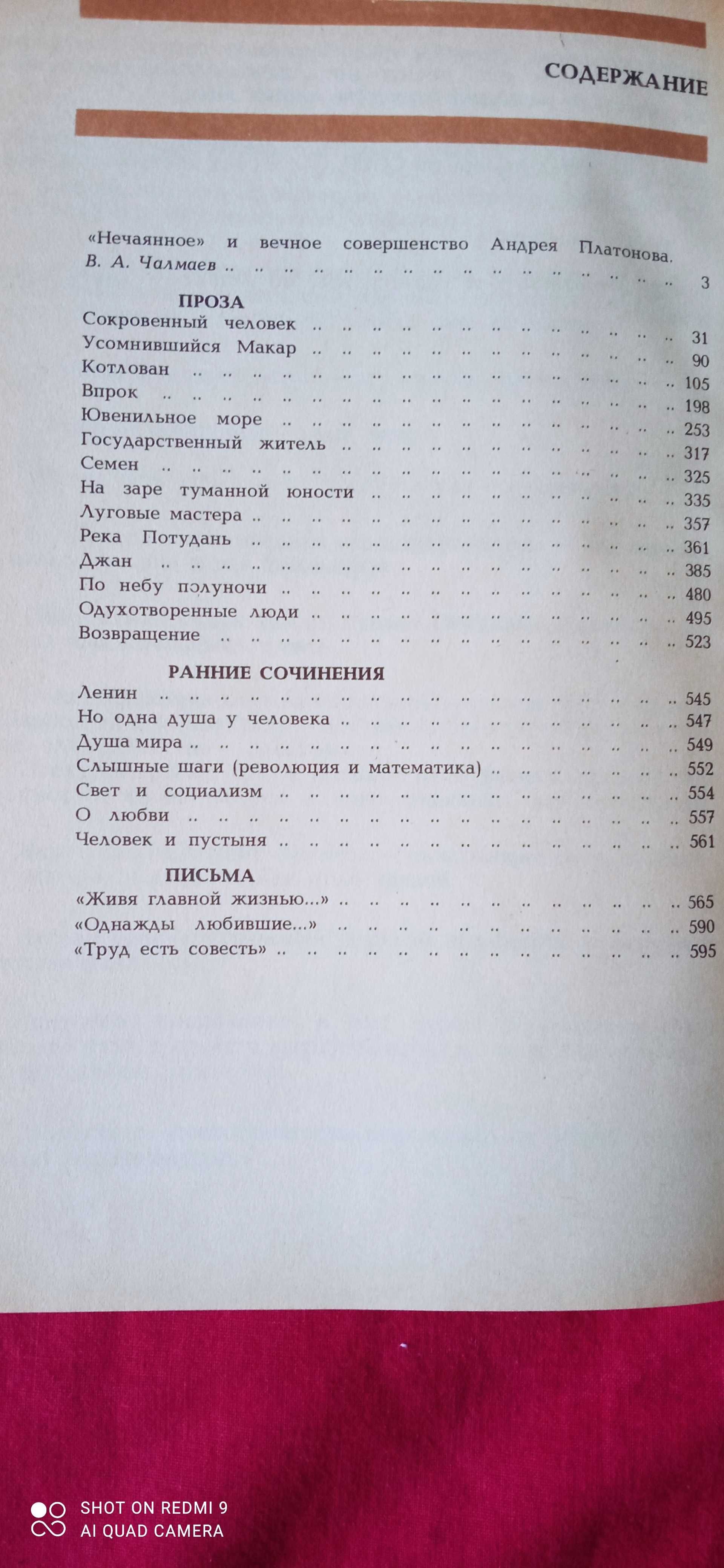 Платонов А.П. "Государственный житель"  Искандер "Сандро из Чегема"