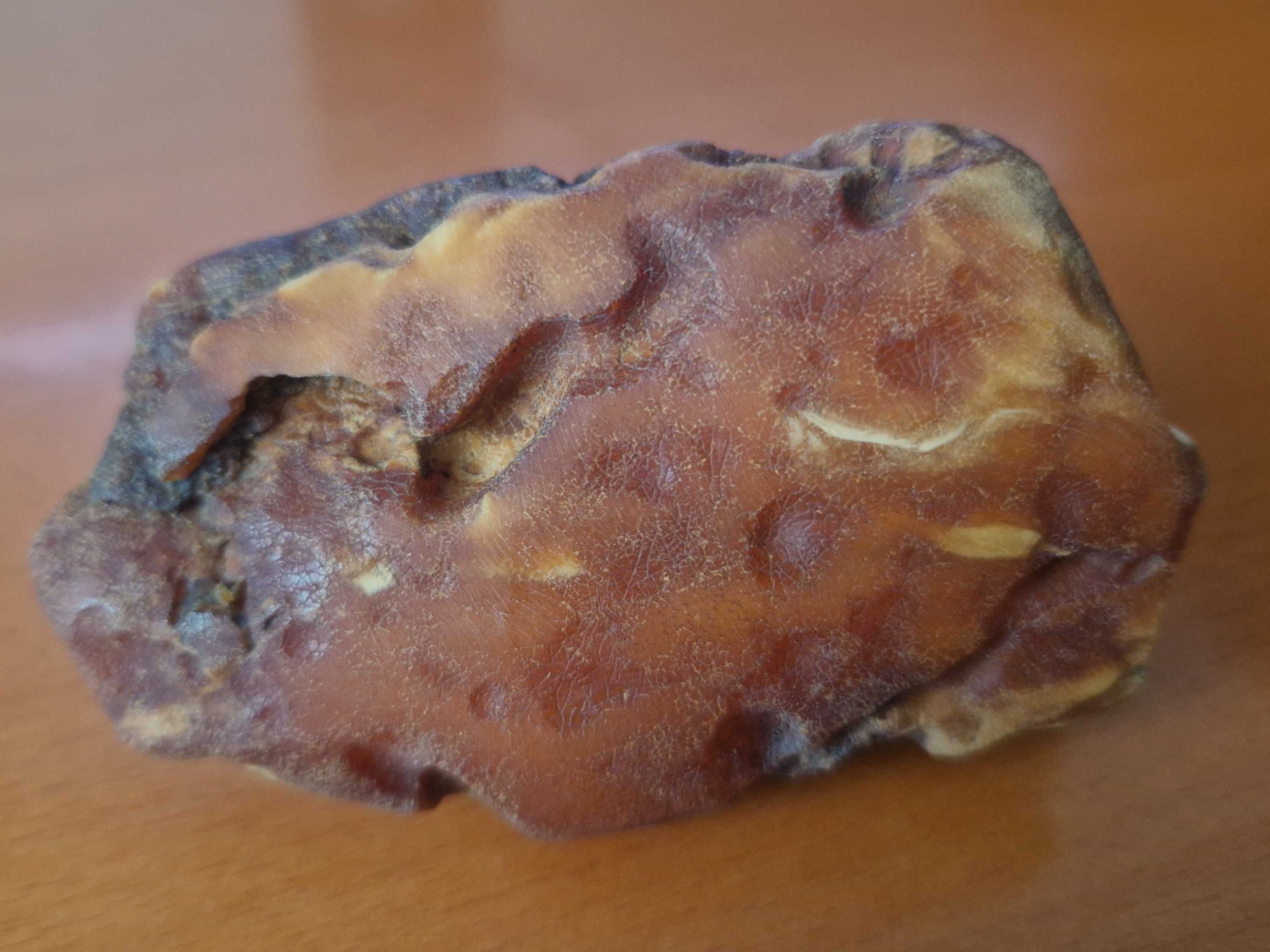 Wyjątkowy biało-kościano-przeźroczysty bursztyn ukraiński (95 g)