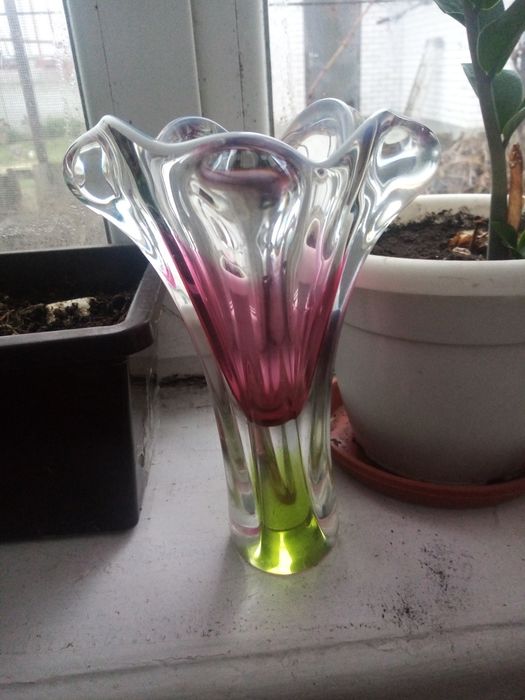 Крокус. Josef Hospodka. Чехия.