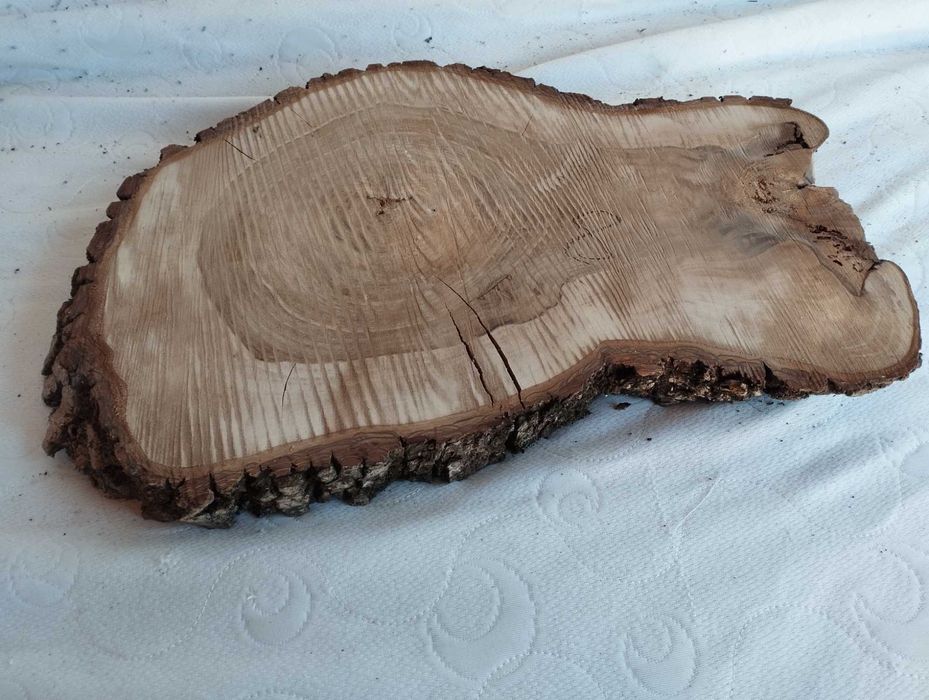 Plaster drewna Piękny Solidny Suchy Orzech DIY Wybór sztuki Hit 2025