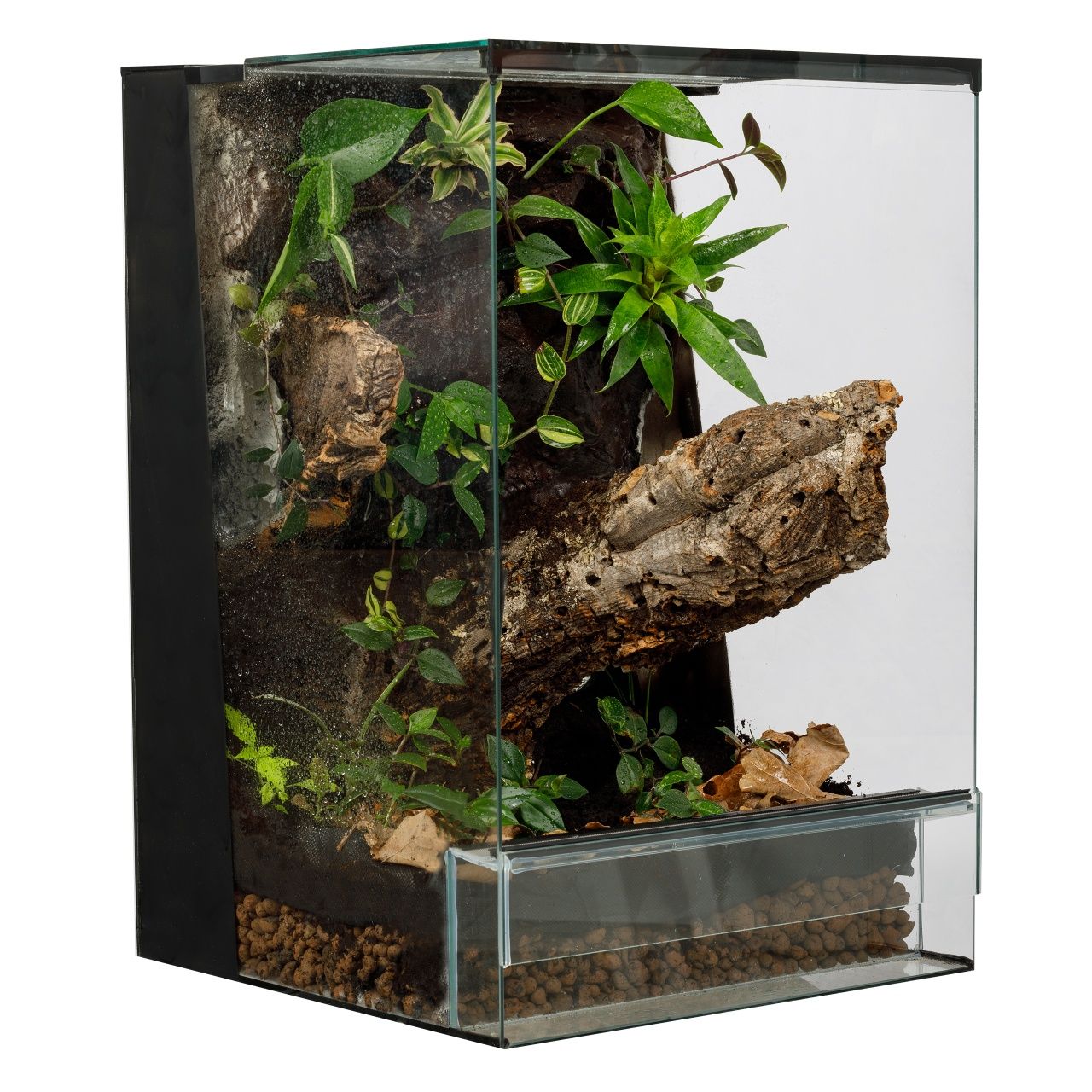 Terrarium tropikalne aktywne biologicznie