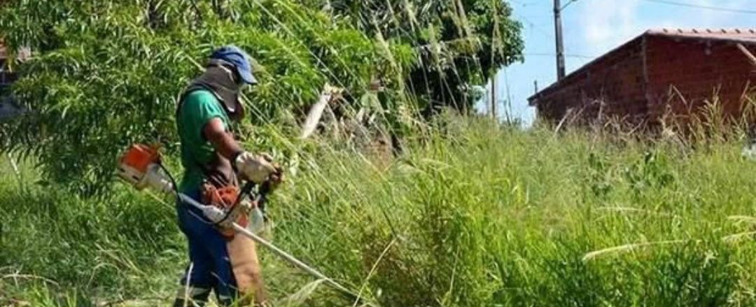 Faço limpeza de terreno e jardins com roçadeira