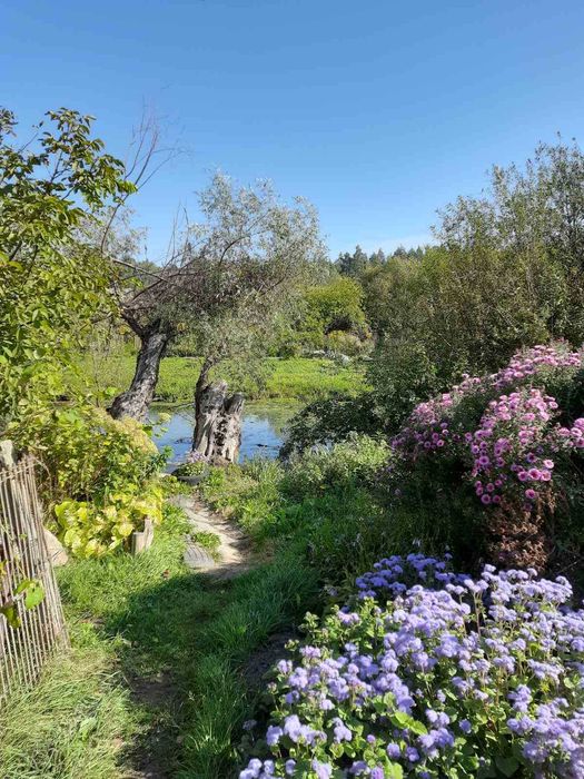 Дача у межах міста з усіма зручностями с\т "Чайка"