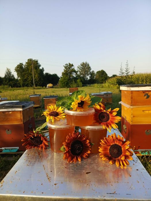 Продам ліповий мед