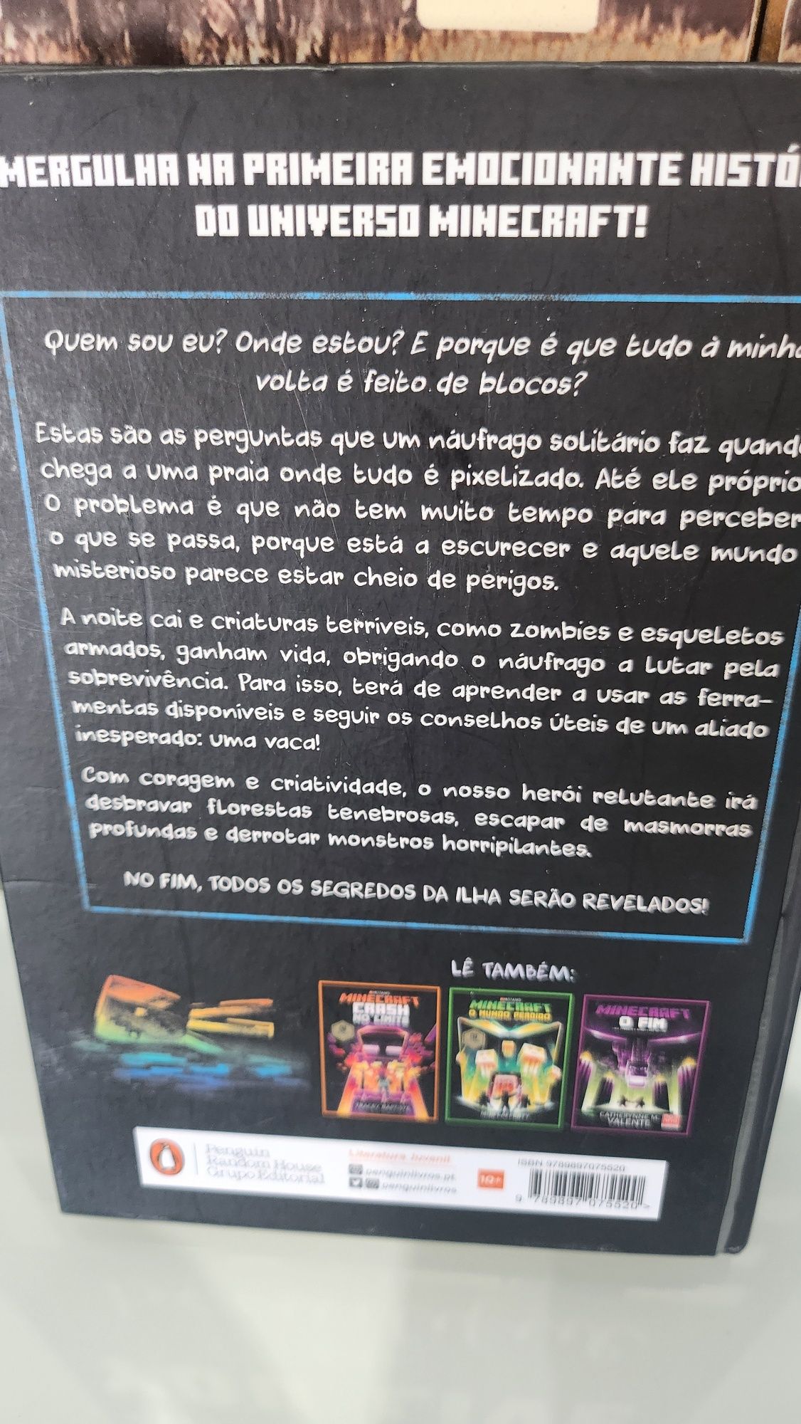 Minecraft (A ilha )