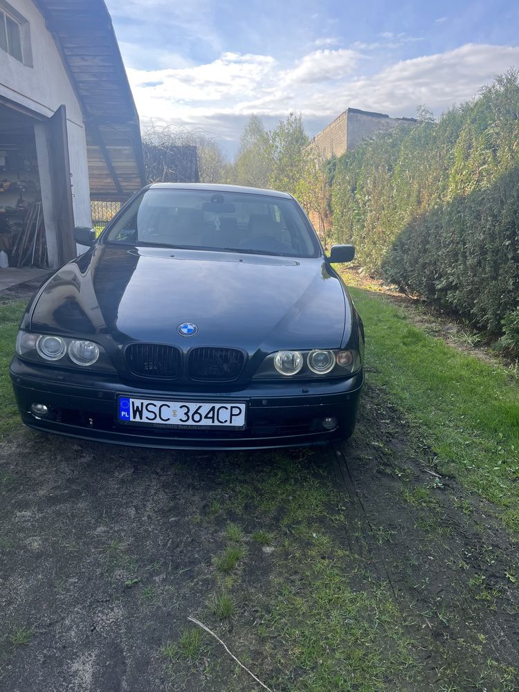 e39 cala na dawce