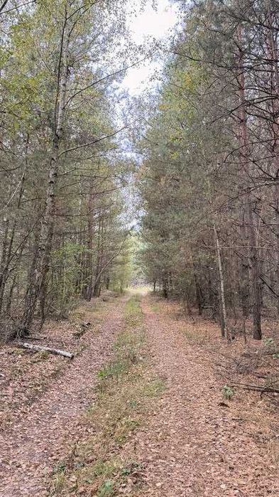 Продаж масиву землі під ЗАБУДОВУ біля Житомирської траси!