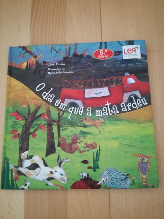 O dia em que a mata ardeu