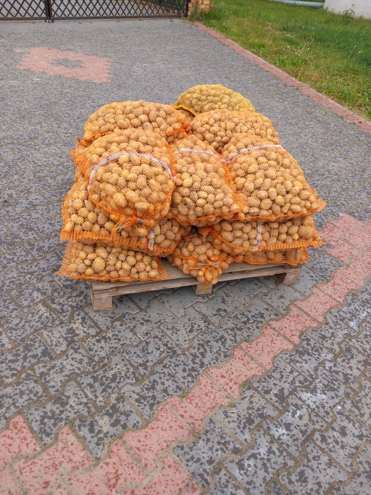 Sprzedam ziemniaki młode paszowe