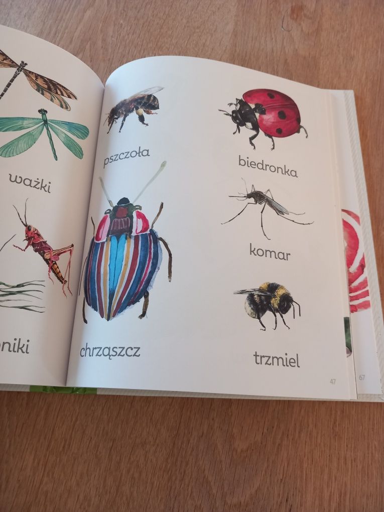 Montessori obrazkowa księga przyrody, FK Olesiejuk