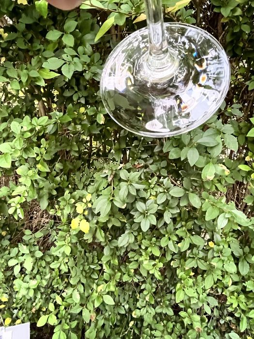 Бокали для вина Spiegelau Capri