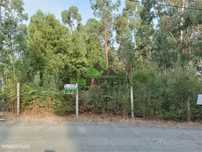Terreno p/construção em Lobão (1000 m2)