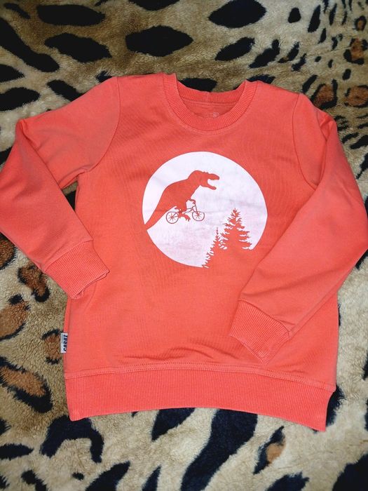 Світшот для хлопчика зріст 116 см