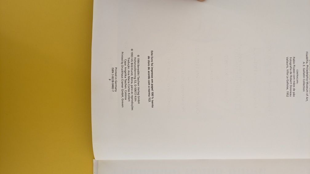 Livro sobre Picasso
