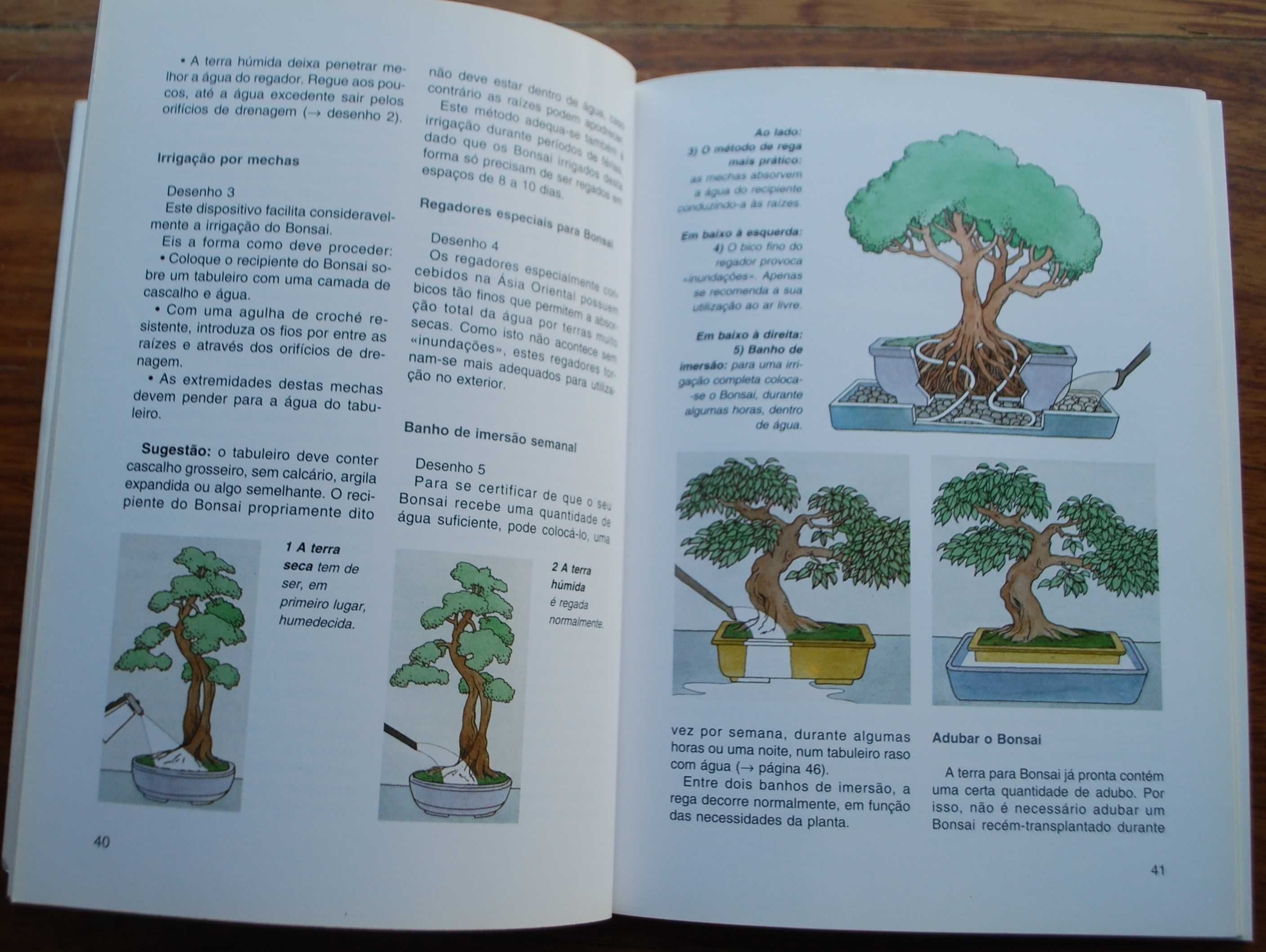Bonsai de Interior de Jochen Pfisterer