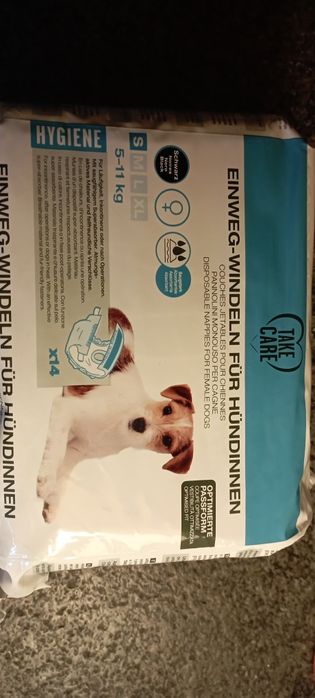 Pieluchy dla pieska seniora