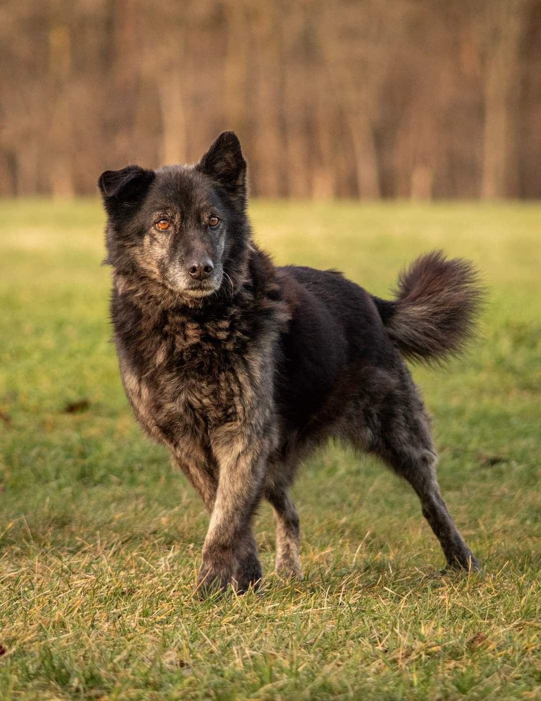 Czy te zdjęcia sprawią, że ktoś się w nim zakocha?