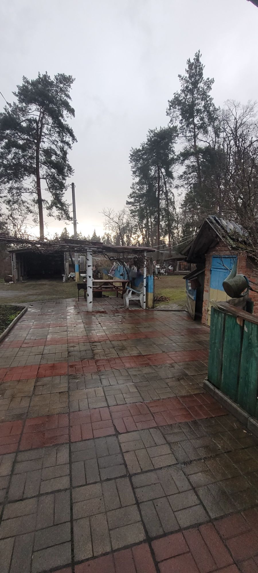 Продам ділянку серед соснового лісу з будинком!