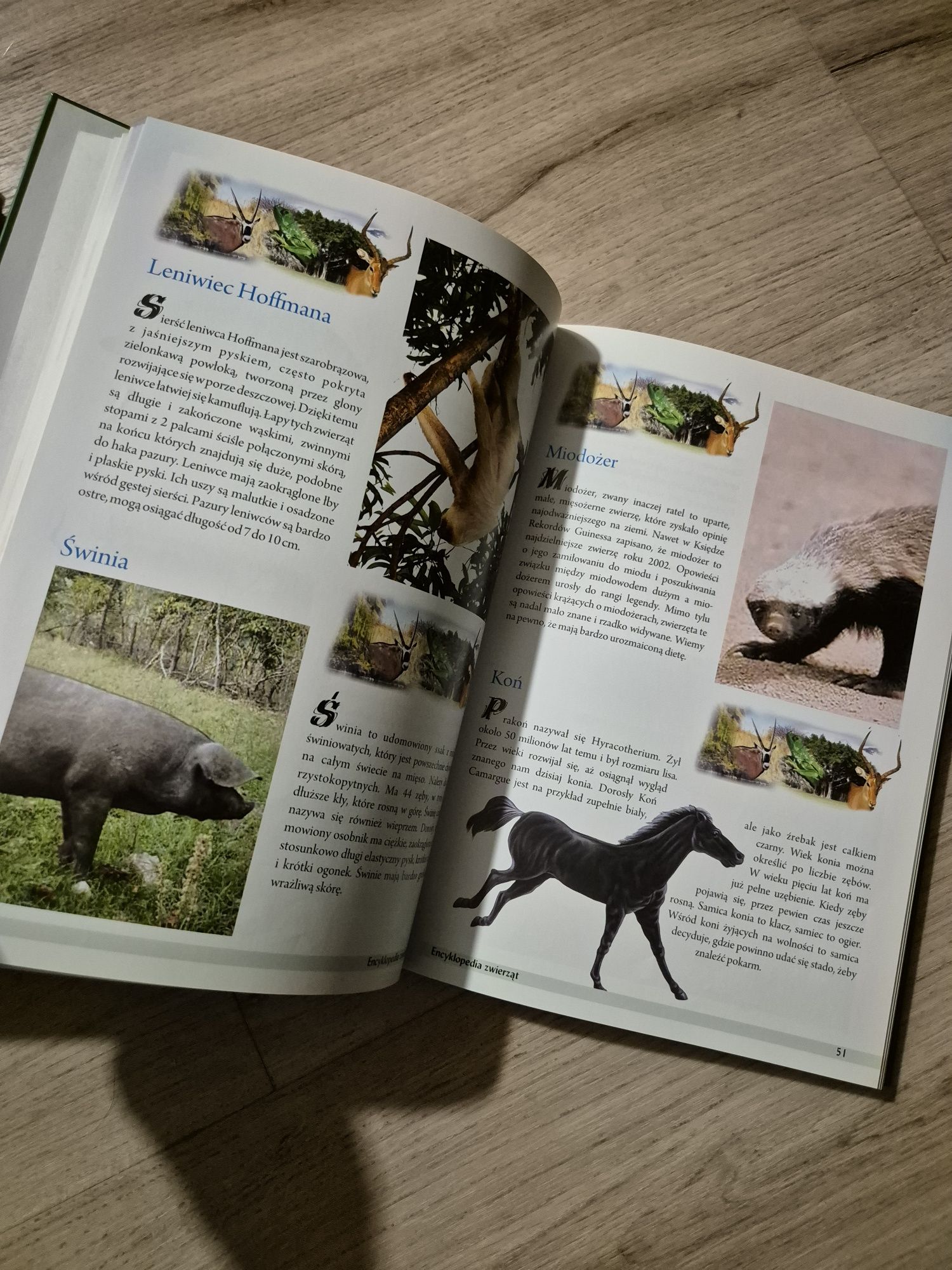 Encyklopedia zwierząt Nowa