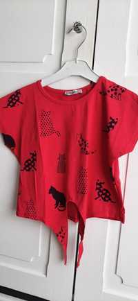 T-shirt koszulka bluzka czerwona koty czarne 140 136