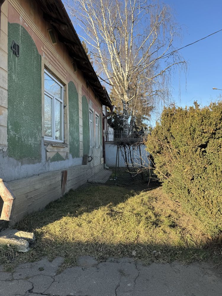 Будинок з ділянкою в центрі Роші