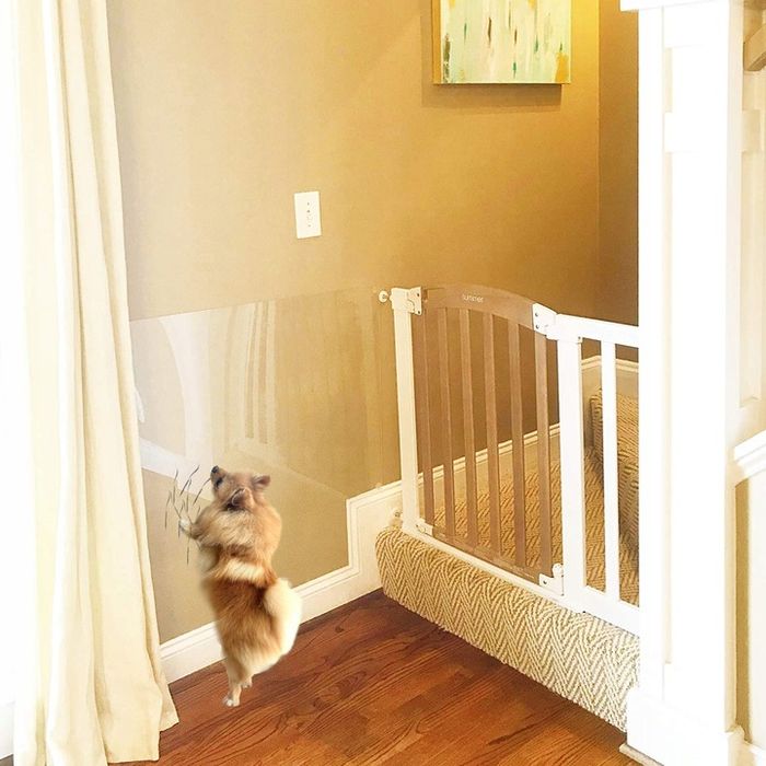 Folia Ochronna Drzwi Meble Przeciw Drapaniu 100x50