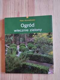 Ogród wiecznie zielony