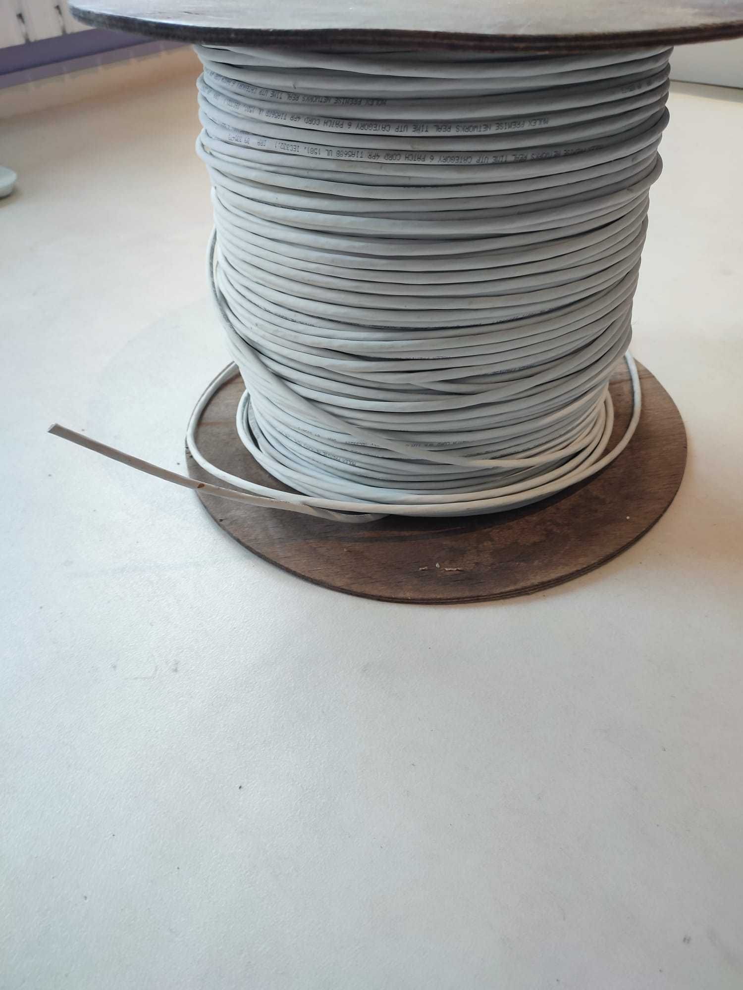 Kabel UTP, kat. 6, Molex Premise Networks