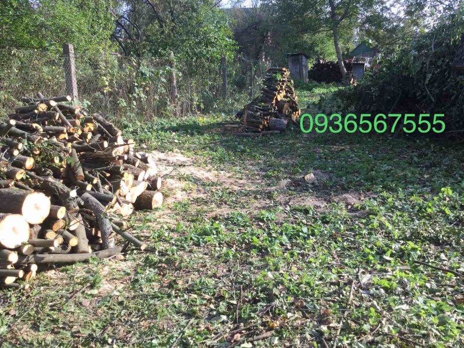 Чистка ділянок, зрізання дерев, очищення території, обрізка саду