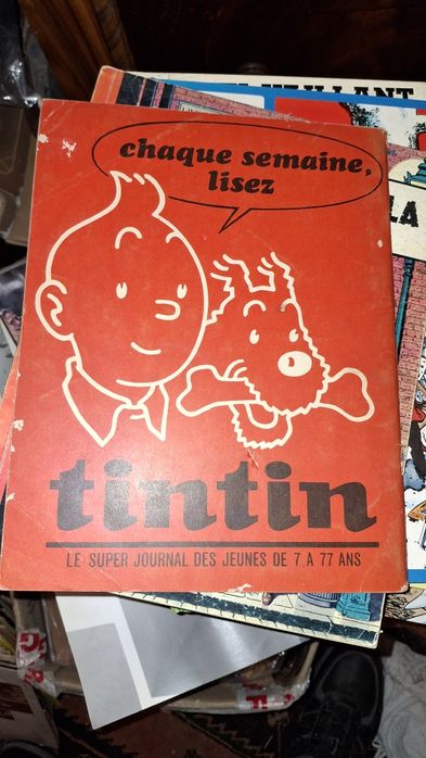 Tounga et le dieu feu e Aidans 1968 journal Tintin