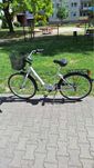Rower damka Nowy !