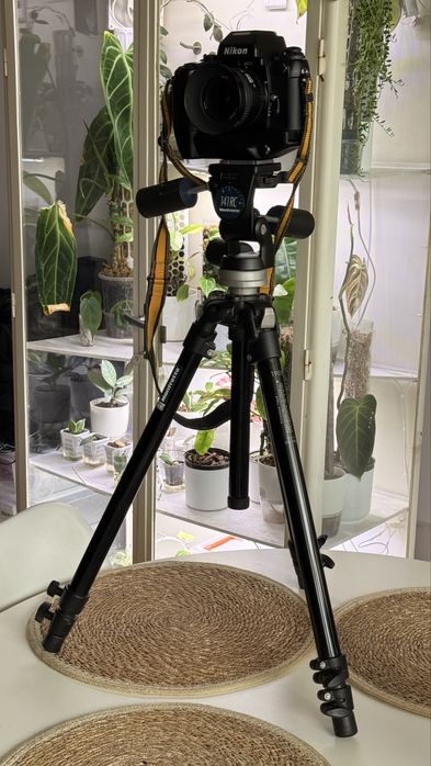 Statyw Manfrotto 190B + głowica 141RC