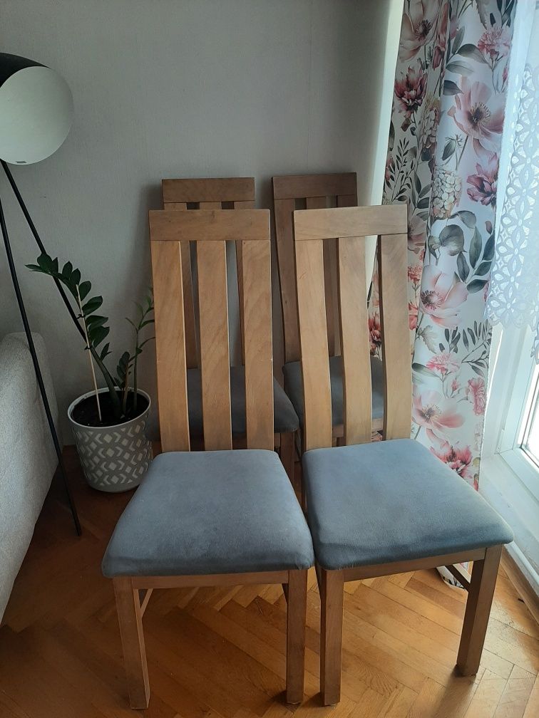 Krzesła kolor san remo
