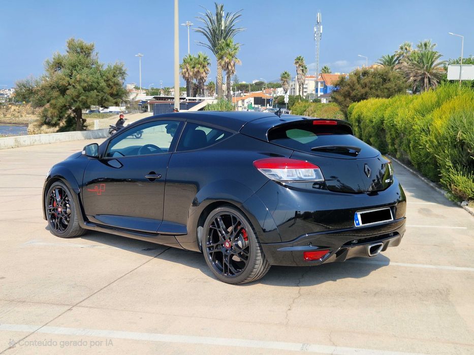 Renault Megane RS 265 Trophy #324