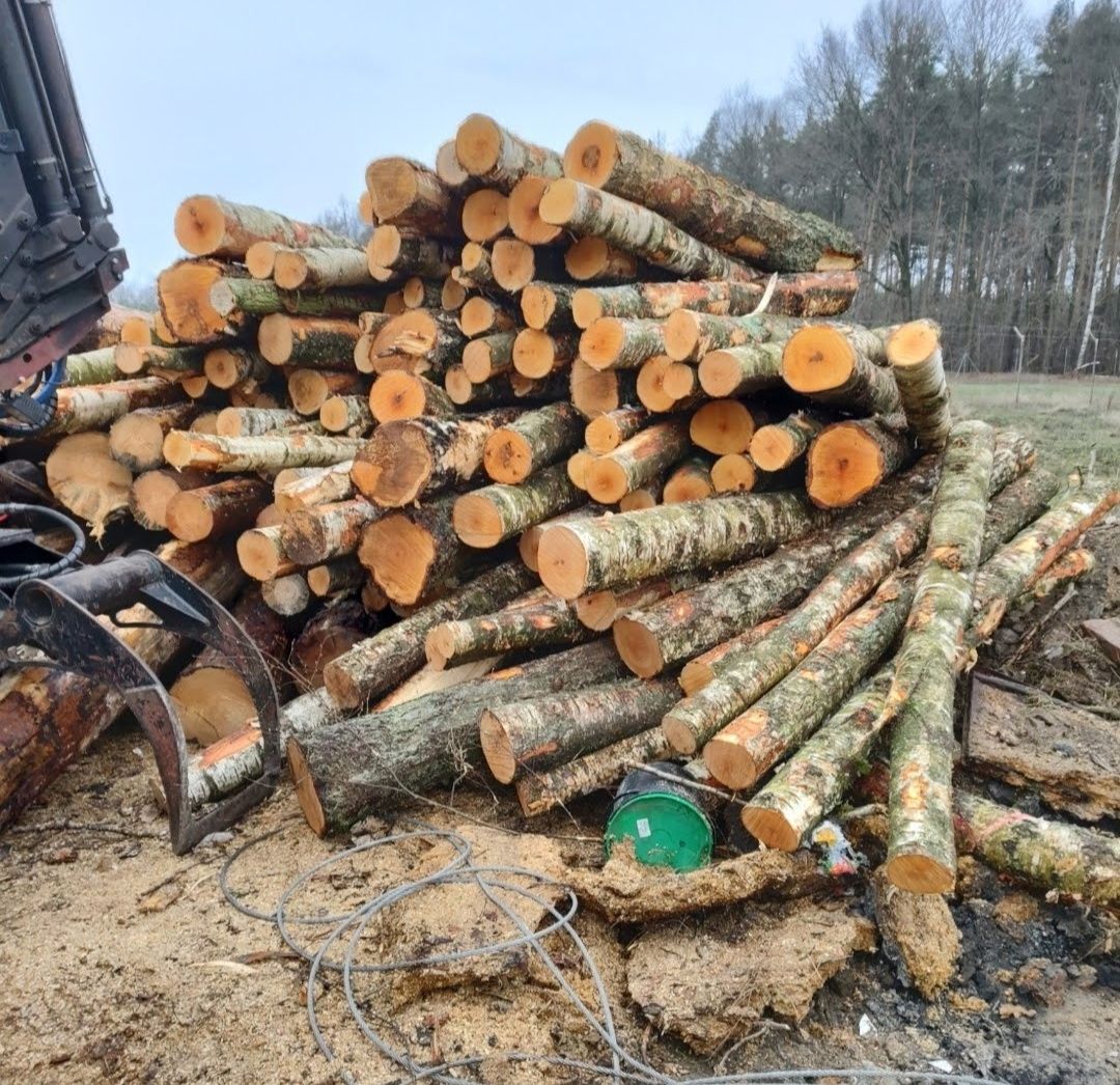 Drewno  kominkowe opałowe brzoza wałki 1m3