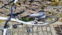 Bike para curtir a grande com o filhote !