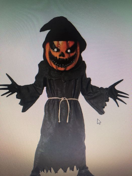 Halloween costume