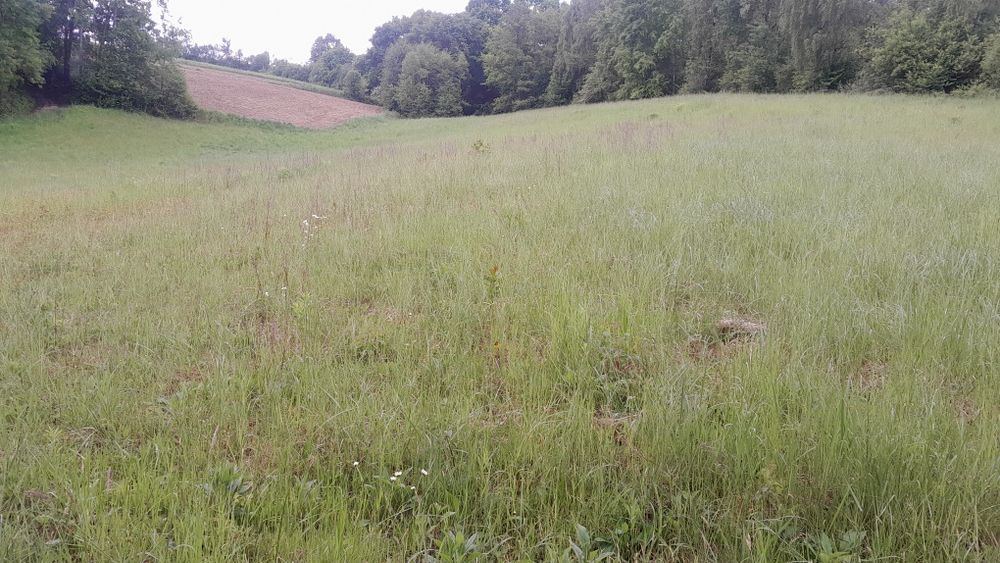 Działka rolna Czułów 70ary