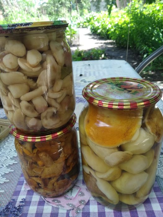 Продам грибы консервированые и сушеные.Лисички и белый гриб