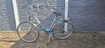 Gazelle rower Holenderski