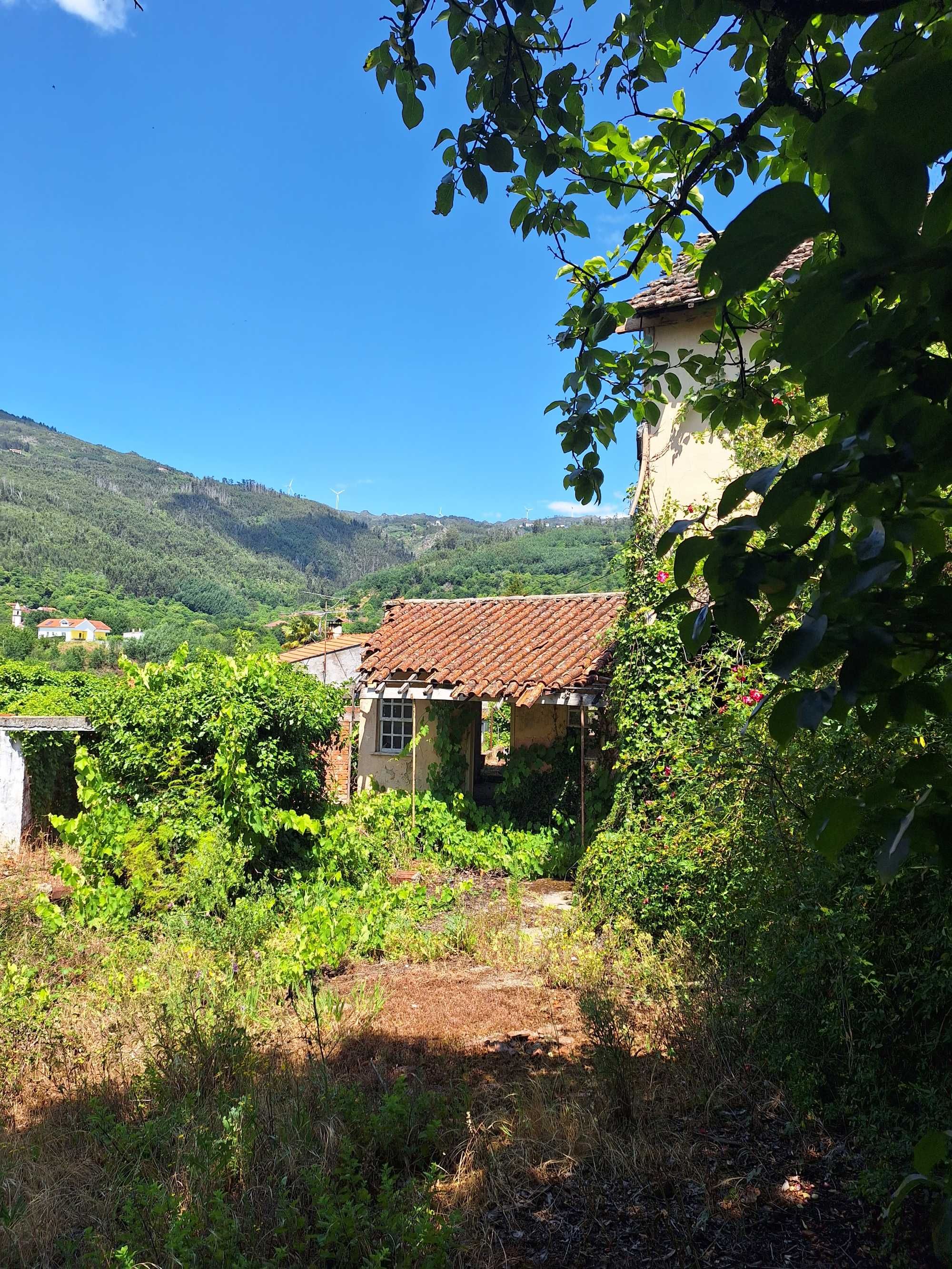 Casa Eiras de castelões, terrenos