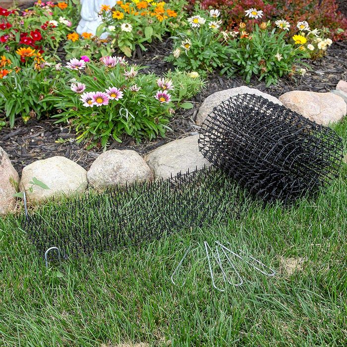 Siatka na koty z kolcami 400 x 27,5 cm mata odstraszająca koty psyt