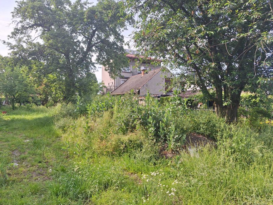 Oddam ziemię i gruz