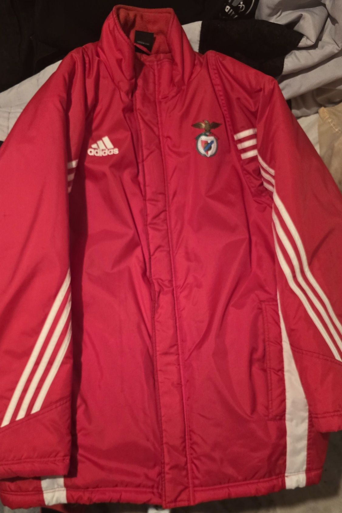 Casaco/parka Benfica